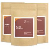Organic Reishi Mushroom Powder, 100 g, 3-Pack 